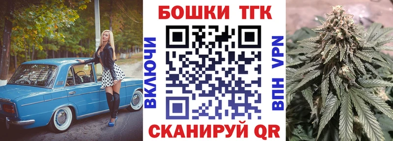 Купить наркоту Жуков Галлюциногенные грибы  ГАШИШ  СК 