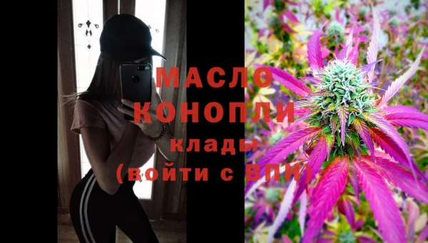 сатива Инсар