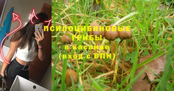 крисы Белокуриха