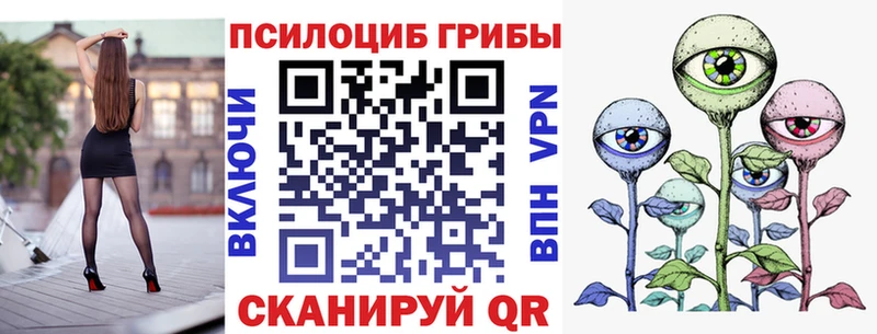 Галлюциногенные грибы Psilocybe  купить наркоту  Жуков 